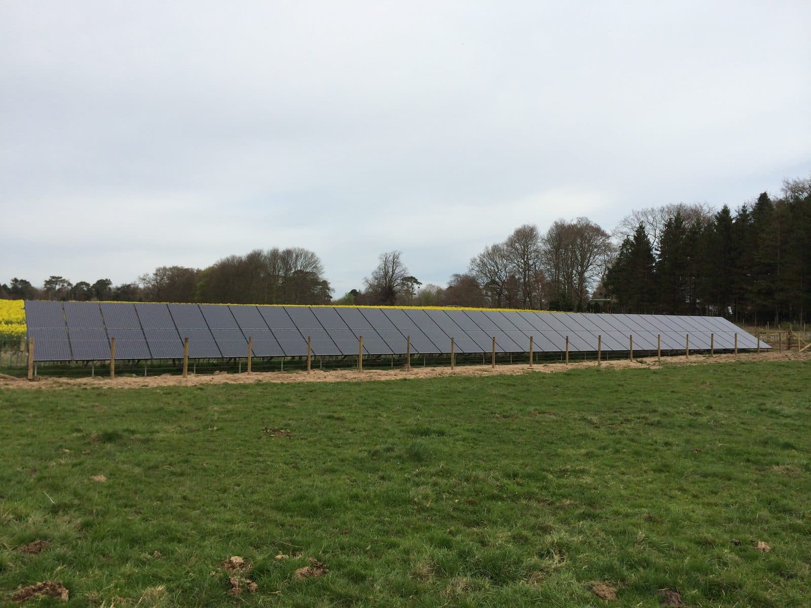 Ground-mounted solar array in a field at Paxton House